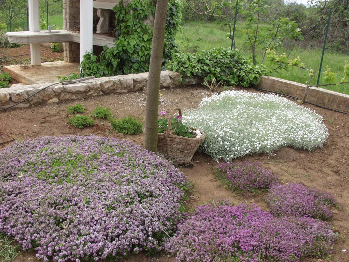 Holiday House "Lea" Lukoran Екстериор снимка